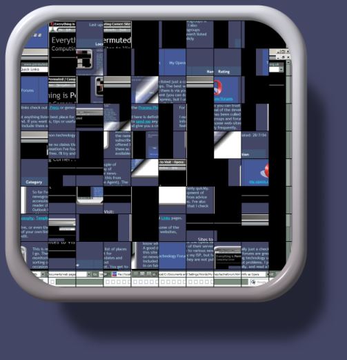 screen shot