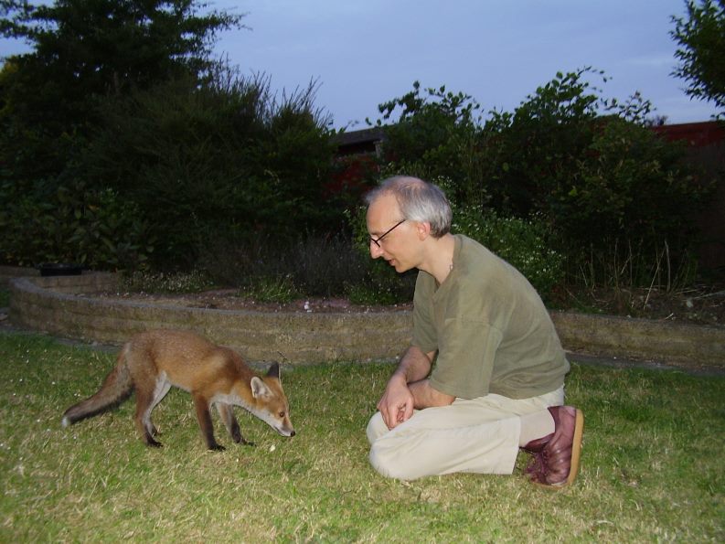 Fox Cub and webmaster