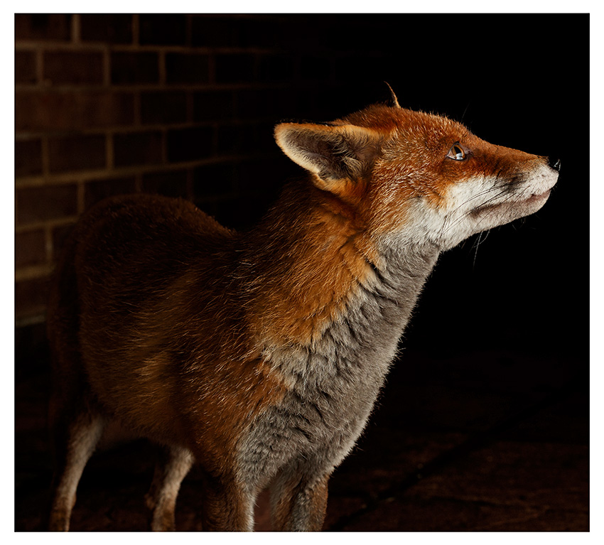 0702262401266512.jpg - Lopa at night